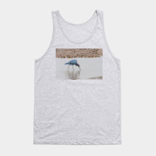 Little Blue Heron Foraging Tank Top